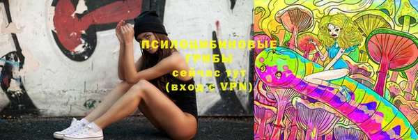 мдпв Белокуриха